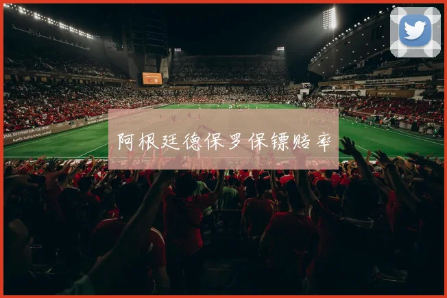阿根廷德保罗保镖赔率