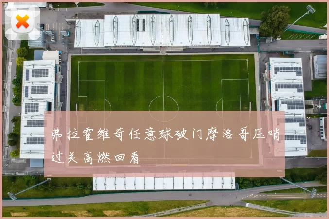 弗拉霍维奇任意球破门摩洛哥压哨过关高燃回看