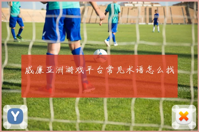 威廉亚洲游戏平台常见术语怎么找