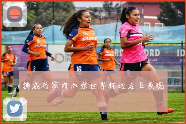 挪威对塞内加尔世界杯边后卫表现