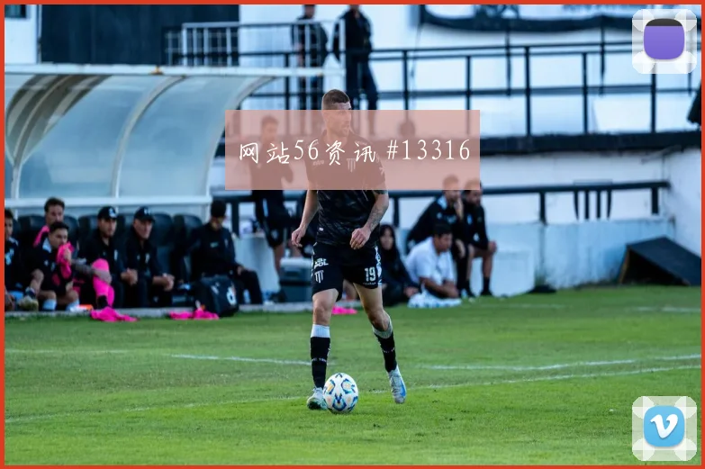 2026世界杯荷兰赔率变化观察