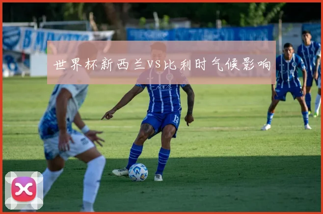 世界杯新西兰vs比利时气候影响