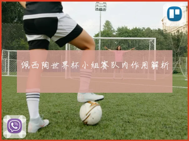 佩西陶世界杯小组赛队内作用解析